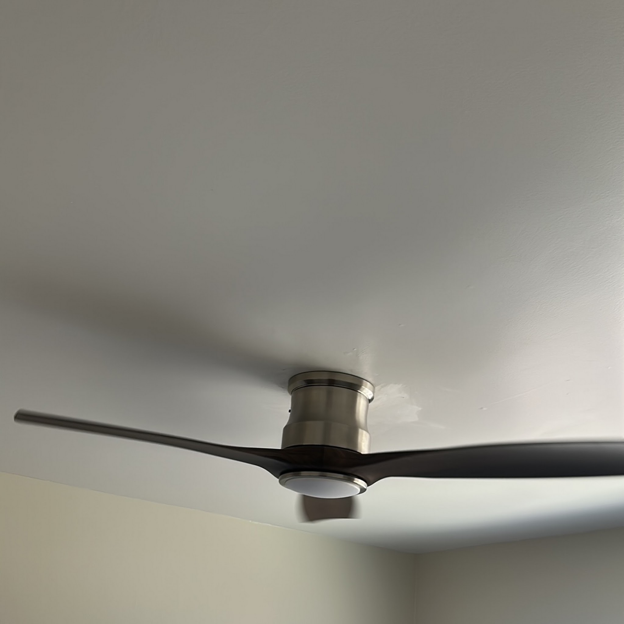 Photo from Zack Ray's review